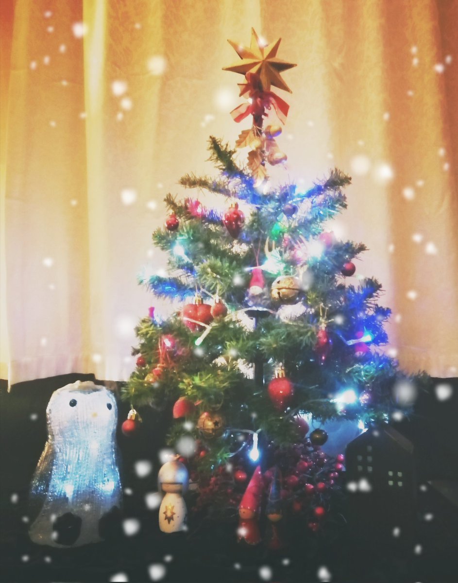 mrsjackD's tweet photo. Merry Christmas everyone...x x x https://t.co/SqwwMQDm95