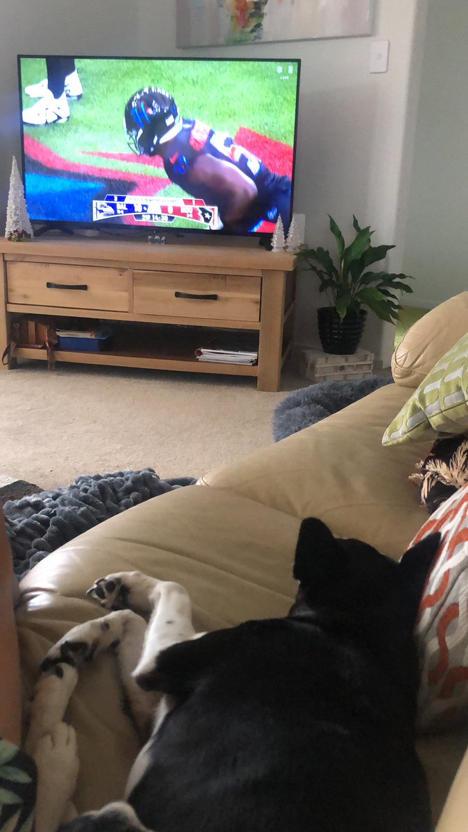 Watching #NFLonNetflix with Duke Doggy Dog. Great way to spend Boxing Day here in Kinloch, New Zealand. <a href="/NFL/">NFL</a> <a href="/drewbrees/">Drew Brees</a> <a href="/ScottHanson/">Scott Hanson</a> #nfl