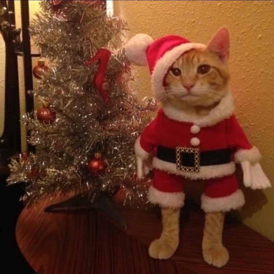 Jophesz's tweet photo. Bit late here but Merry Christmas everyone https://t.co/qhQ0uDKyCU