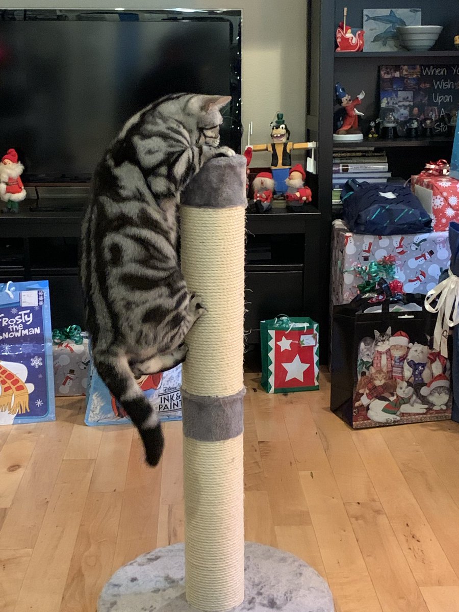 GoodTimesWithScar tweet media