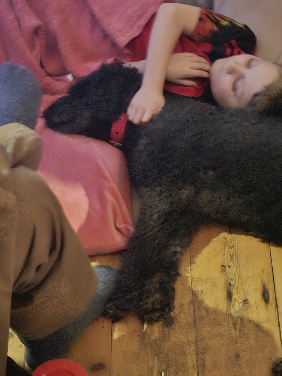 Nephew and doggo in cutest pic ever