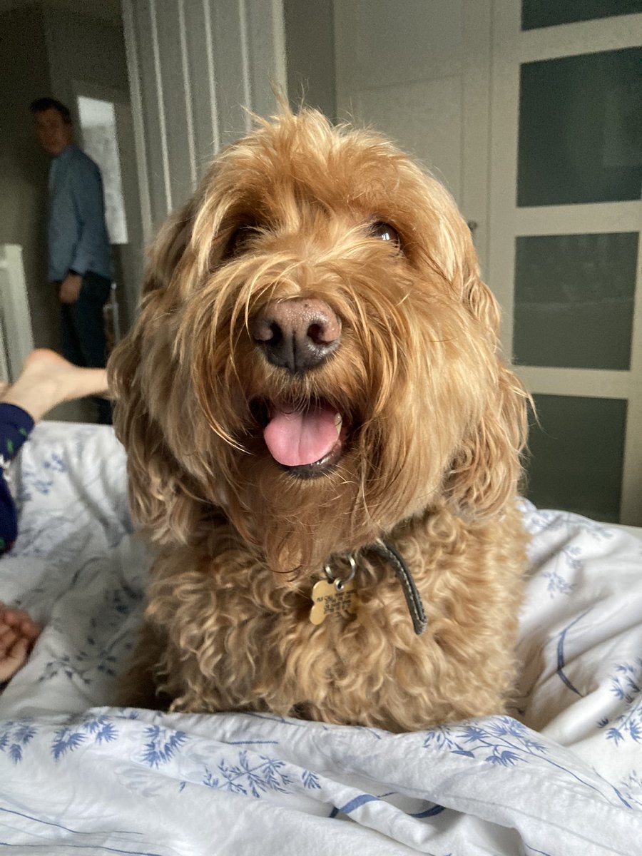 Happy Christmas everyone! I hope you all enjoyed my birthday 🎁