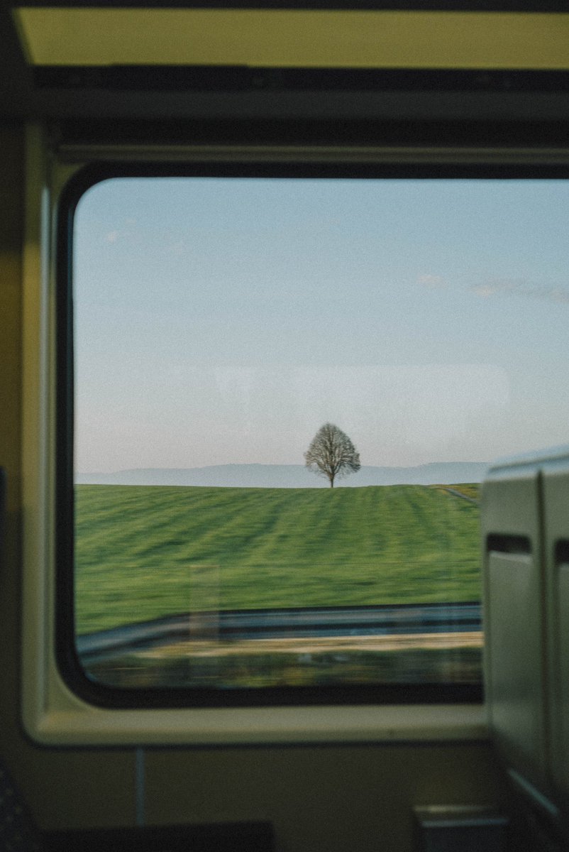 AtaluHannaka's tweet image. 