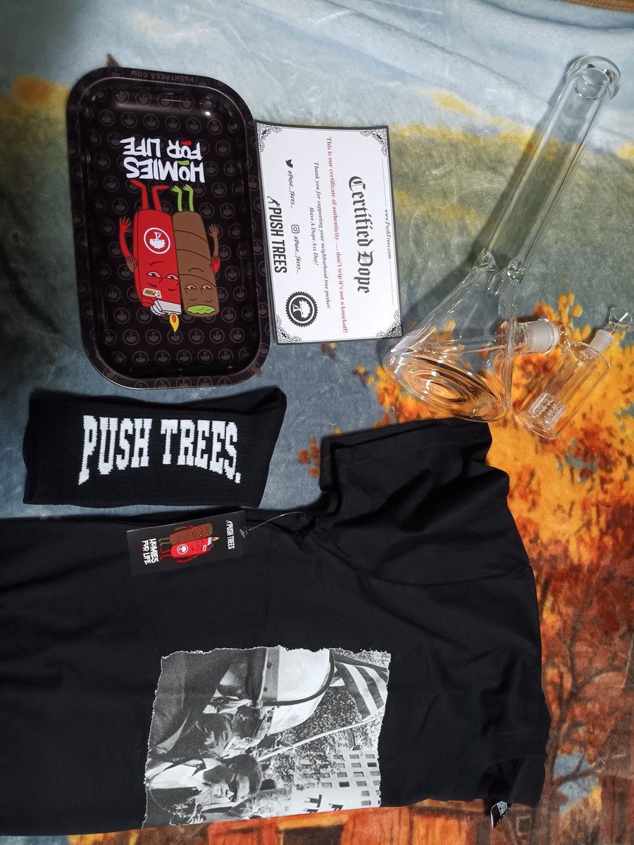 MythicDreamZ's tweet image. Got spoiled with some @TheReUp_Store and #PushTrees merch 🙏