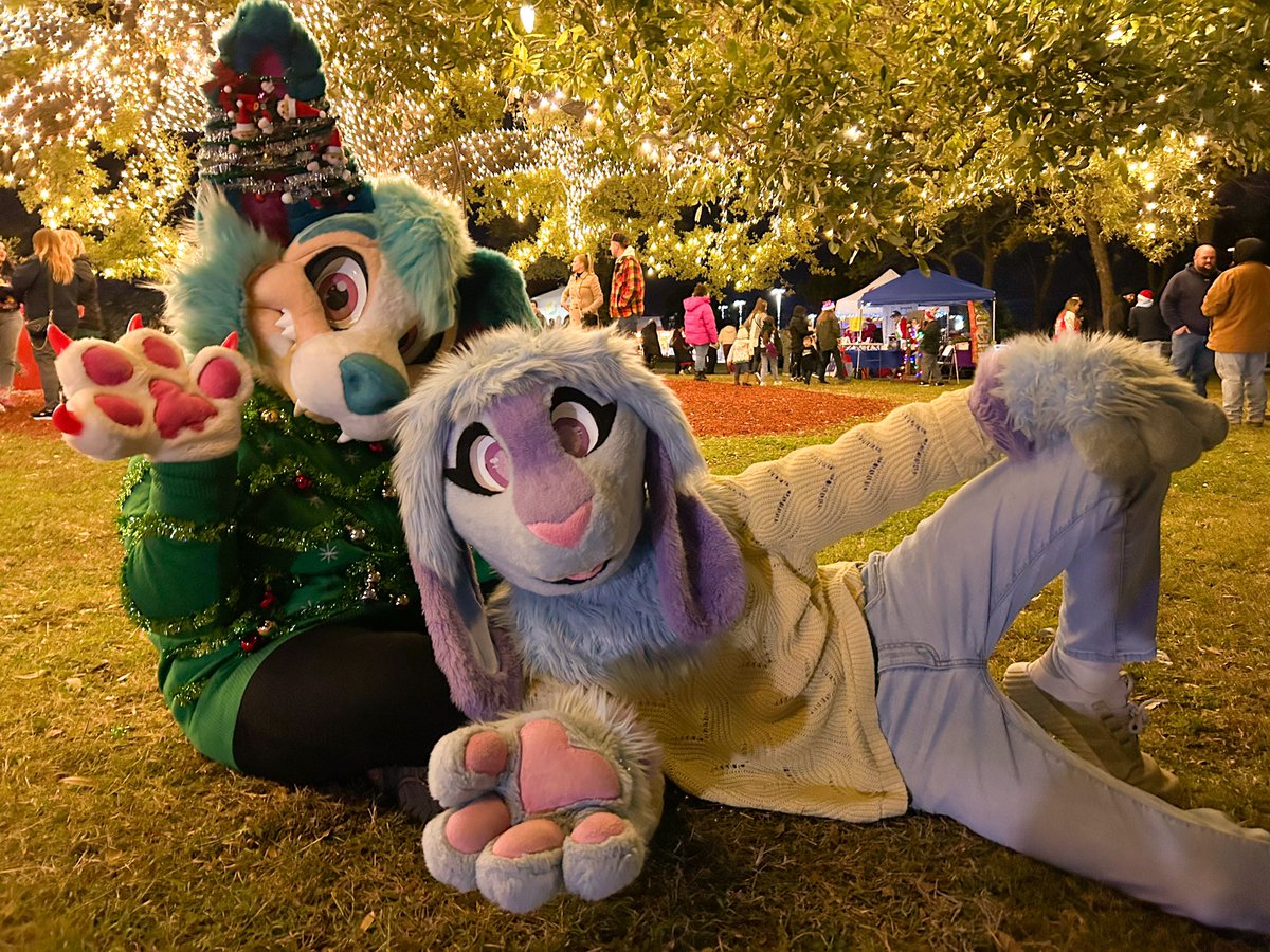 Merry Christmas from a very festive rabbit!! 🎄🐇

(With <a href="/dragonsapphic/">🌈Lagoon⛈️🔜ACFI</a> ) 
#furry #fursuit