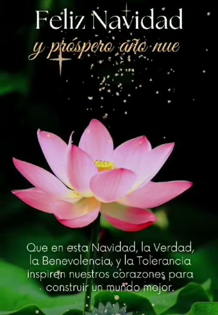 Maira Lorena (@mairalor) on Twitter photo 