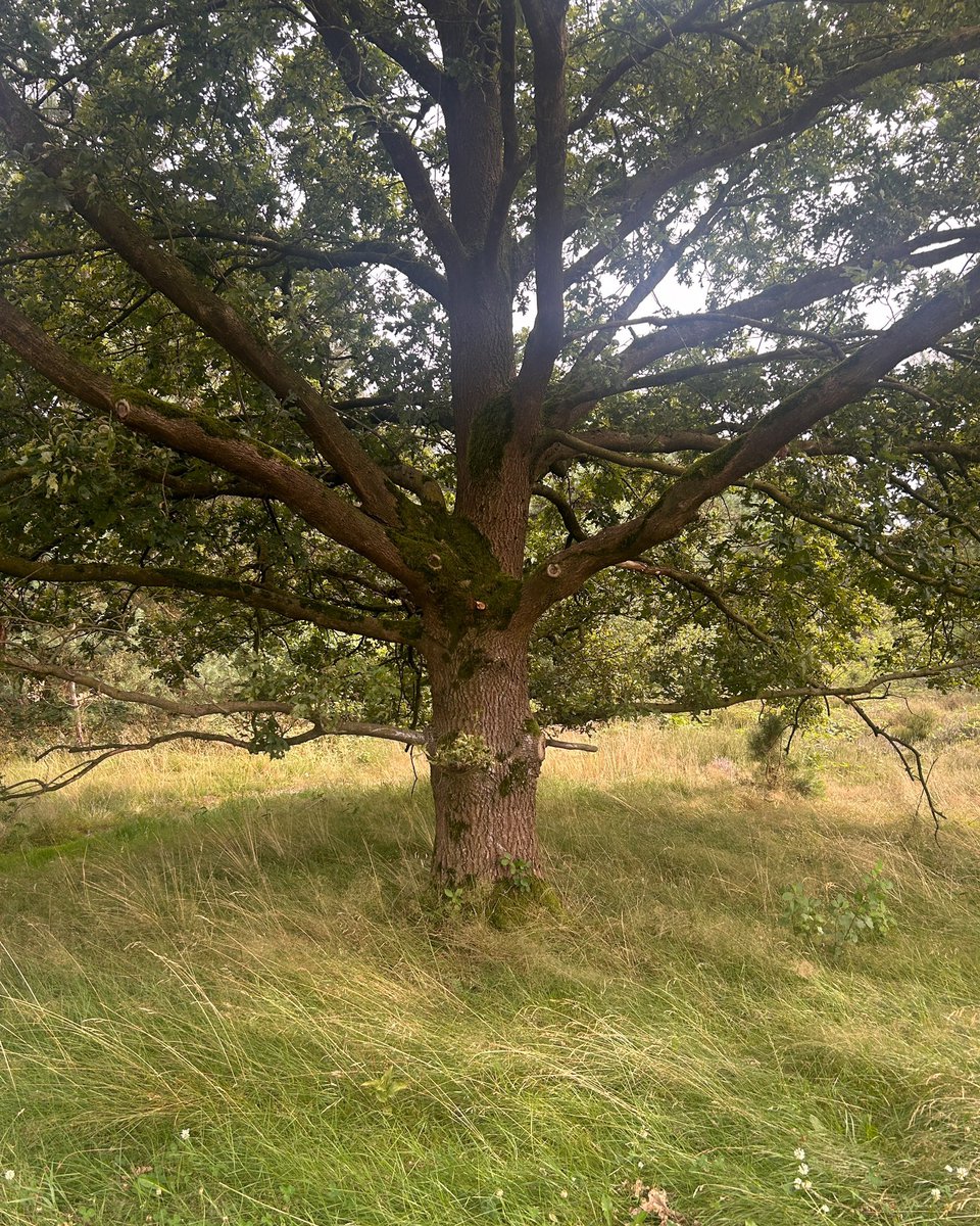 Samantha Cavet tweet media