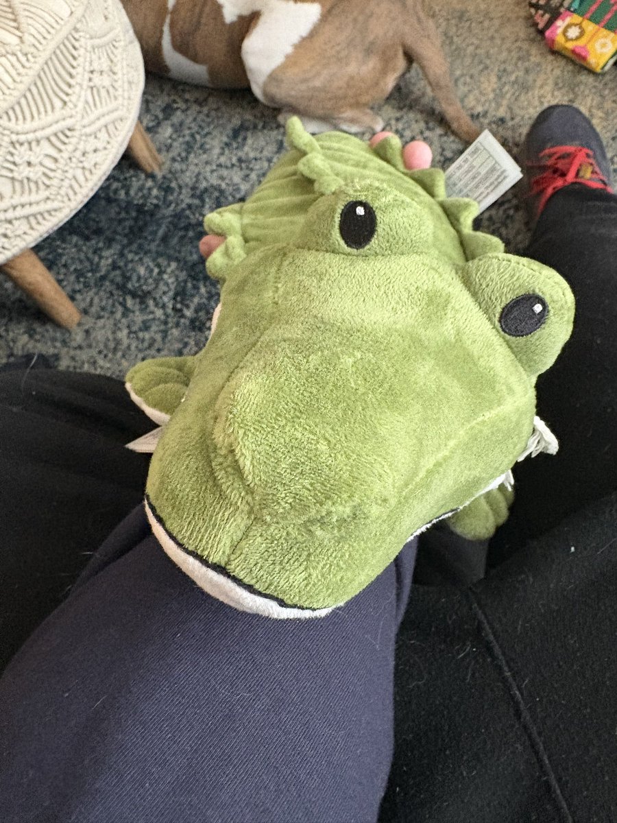 Orange Croc Activities tweet media