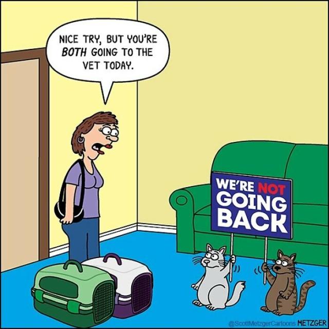 Phillip Lashley (@lashley_ph6373) on Twitter photo 