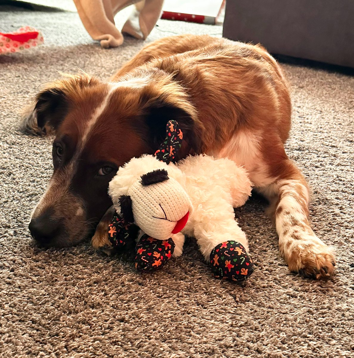 meganlilly's tweet photo. Bestie dude 🥰 https://t.co/tU71OV4WEk