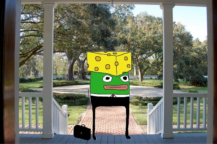 daumenonsolana's tweet photo. $daumen @daumenonsolana is Inspired by Pepe, it boasts a loyal and passionate community. Despite being undervalued, its resilience and strong support have kept it thriving. This hidden gem is built to last, making it a top pick for those seeking the next big thing https://t.co/nd6pUc6Zqj