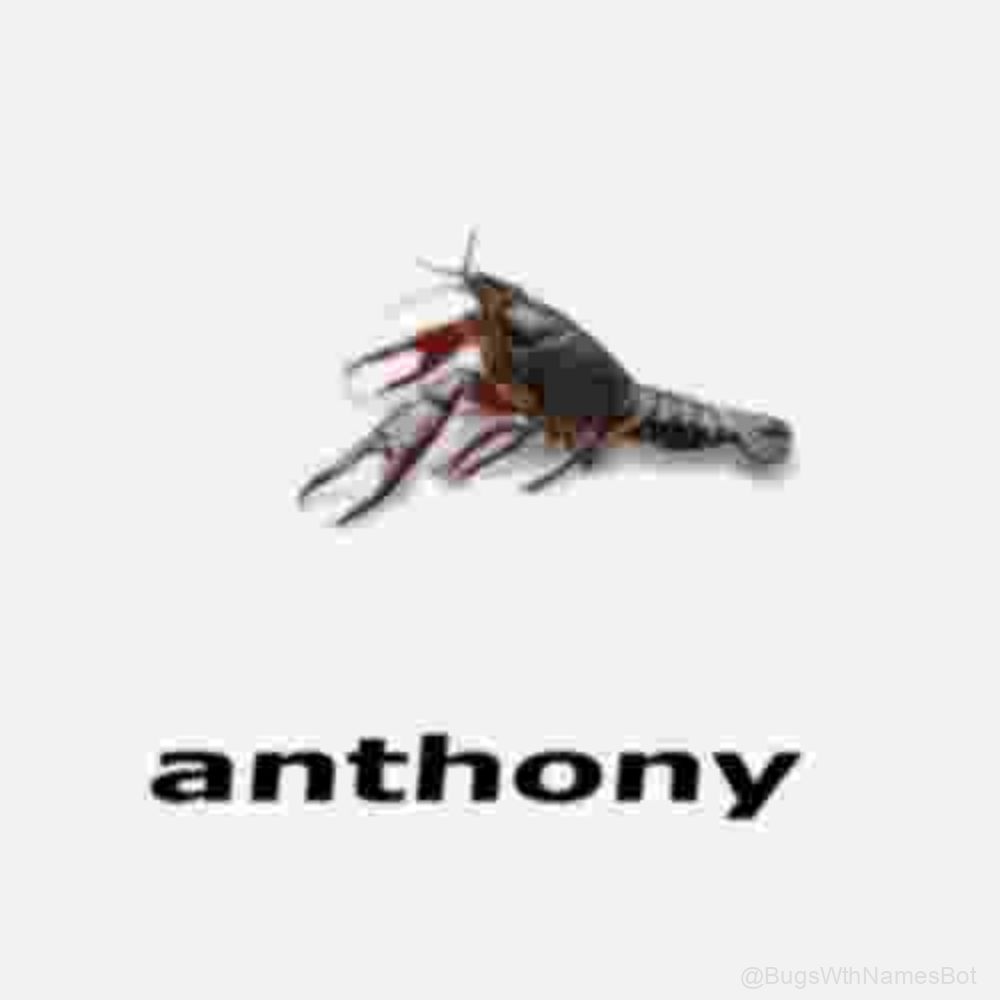 BugsWthNamesBot's tweet photo. 🦞 Anthony https://t.co/eVxNQ04eTw