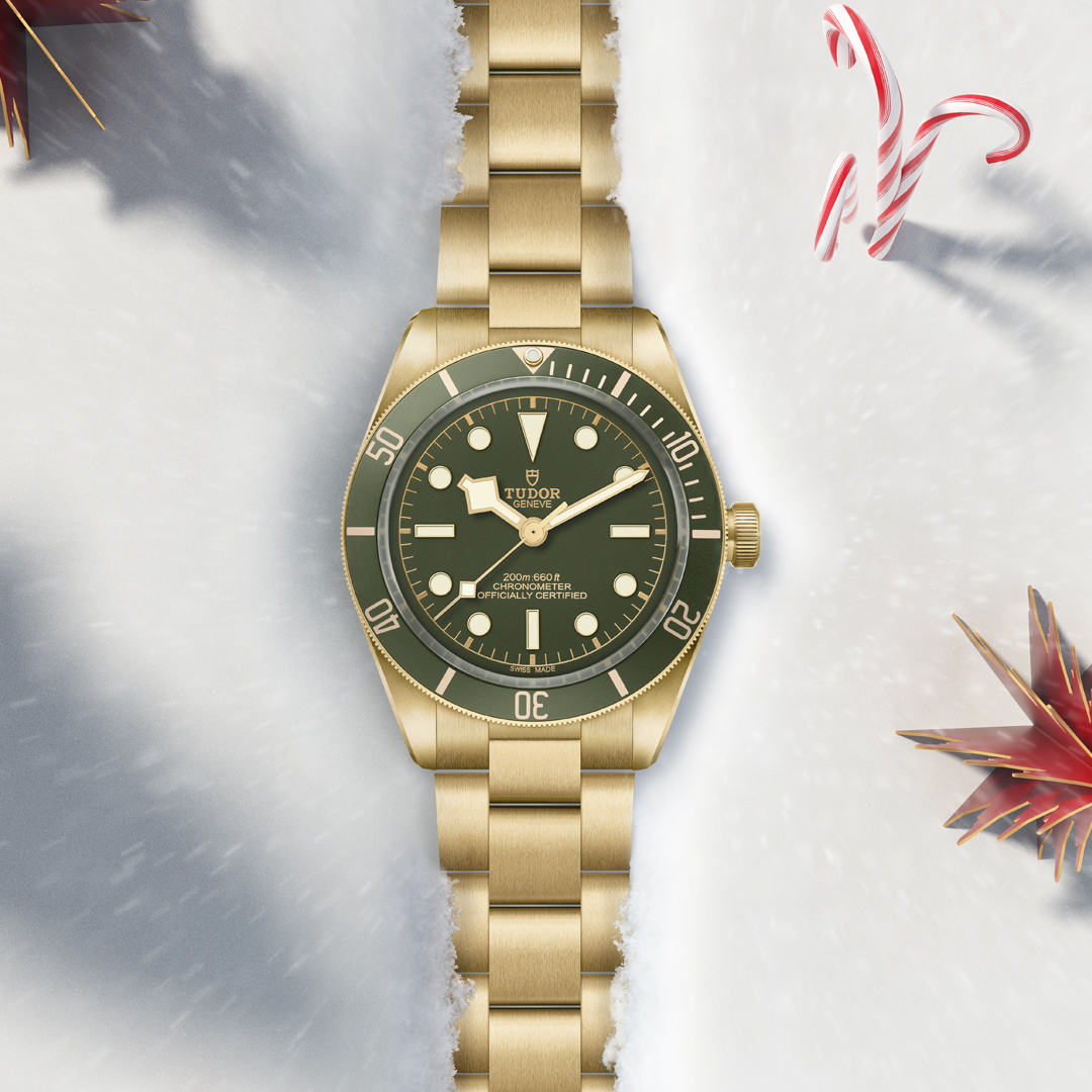 ManfrediJewels's tweet photo. Merry and bright, the TUDOR Black Bay 58 18K features a solid yellow gold bracelet and rich "golden green" dial and bezel that are sure to dazzle this festive season. #TudorWatch #BornToDare https://t.co/A4znra6AkH