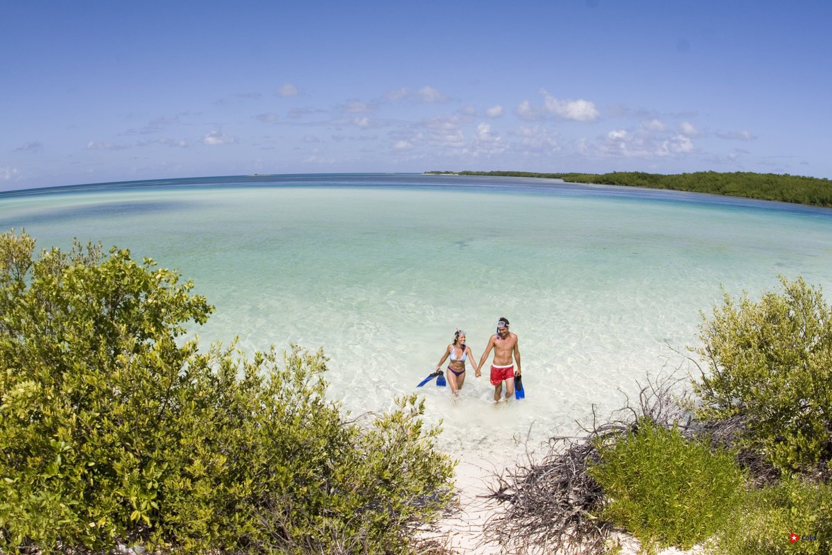 MinturCuba's tweet photo. 🌴🌞😎 Las vacaciones en familia son momentos preciosos para pasar tiempo de calidad juntos, relajarse y crear recuerdos que durarán toda la vida. 🌞😎#Cuba #CubaUnica 👉 👉 👉 https://t.co/RnPUOAdgDL https://t.co/f4CRYuLwtE https://t.co/uK2hkY0hBo https://t.co/0OsA7RdCbV https://t.co/kO8Qizka2K