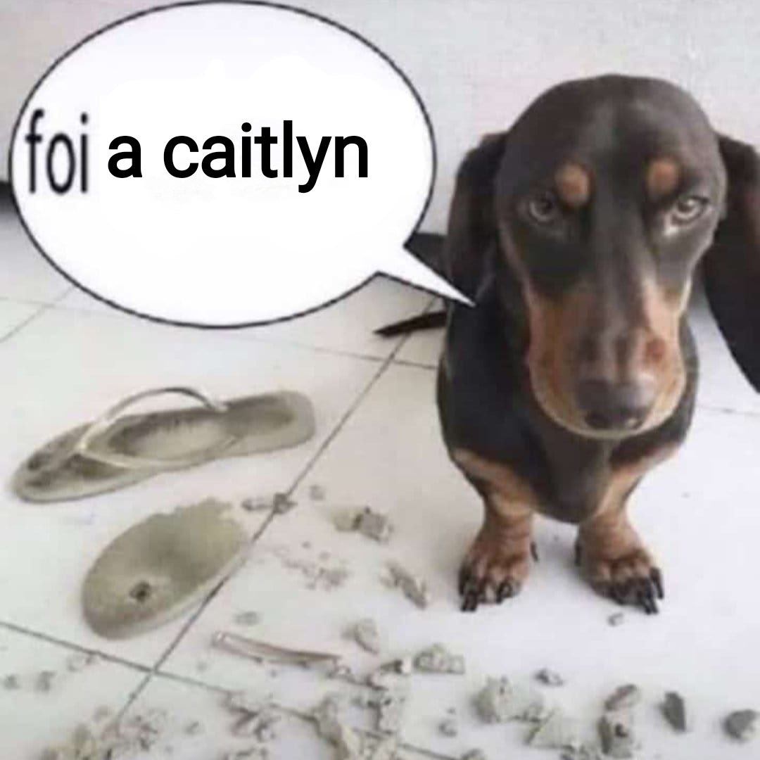 claudiadiaba's tweet image. ah mas pq a coronhada 
ah mas pq a caitlyn 
ah mas pq a vi 
ah mas pq o sexo na prisão