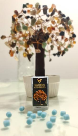 naturalstoneft's tweet image. ¡Descubre lo nuevo de NaturalCapsules! 🌿 Crema en cápsulas Caballero de la Noche, con Aceite Esencial de Eucalipto/Menta, Manteca de Karité y más ingredientes naturales. Super hidratante, nutritiva y protectora. ¡Pruébala ya! #NaturalCapsules #CuidadoDeLaPiel 🌿✨ NCFR_0067