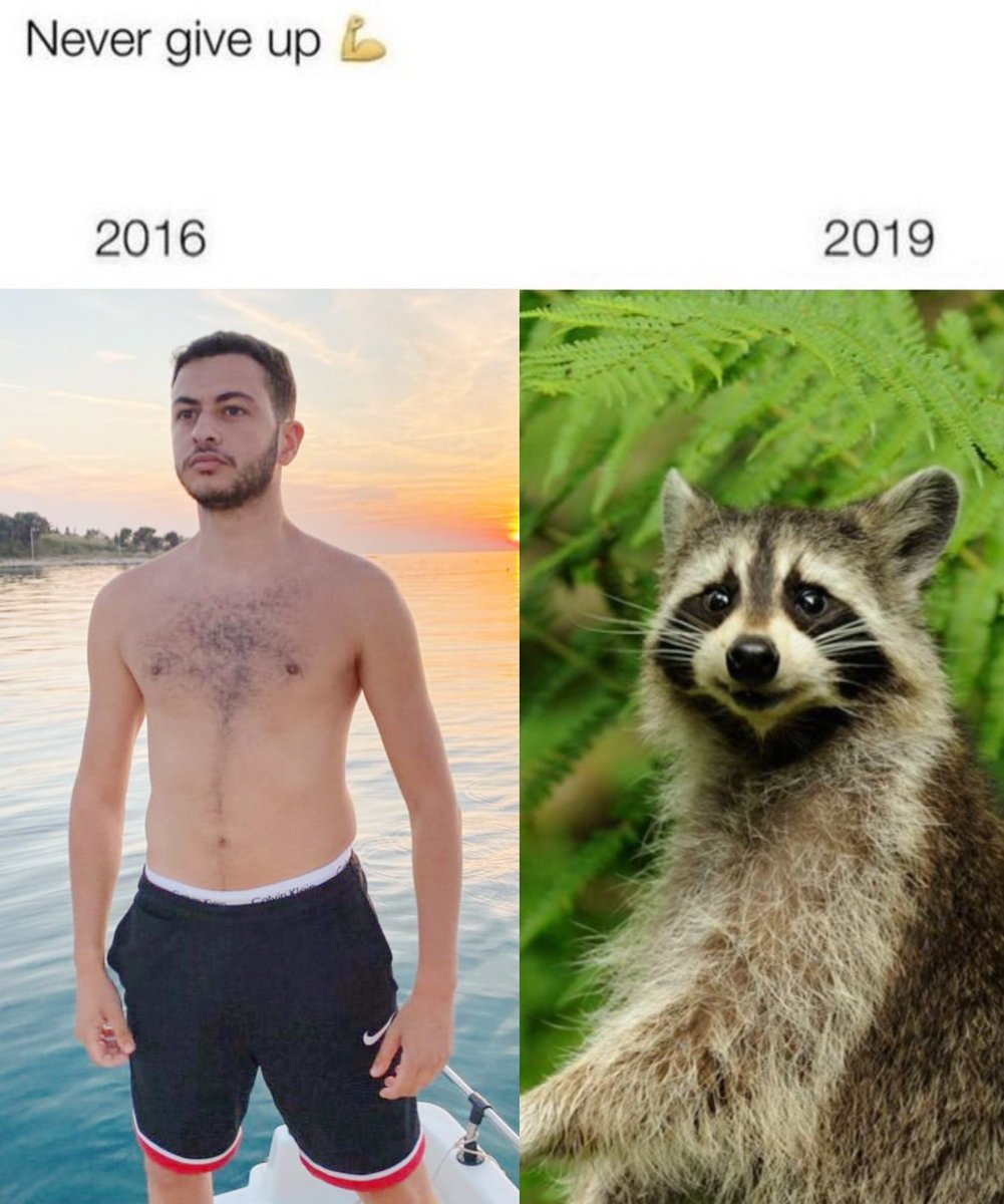 raccoonesthetic's tweet photo. https://t.co/uFyN87AuRr