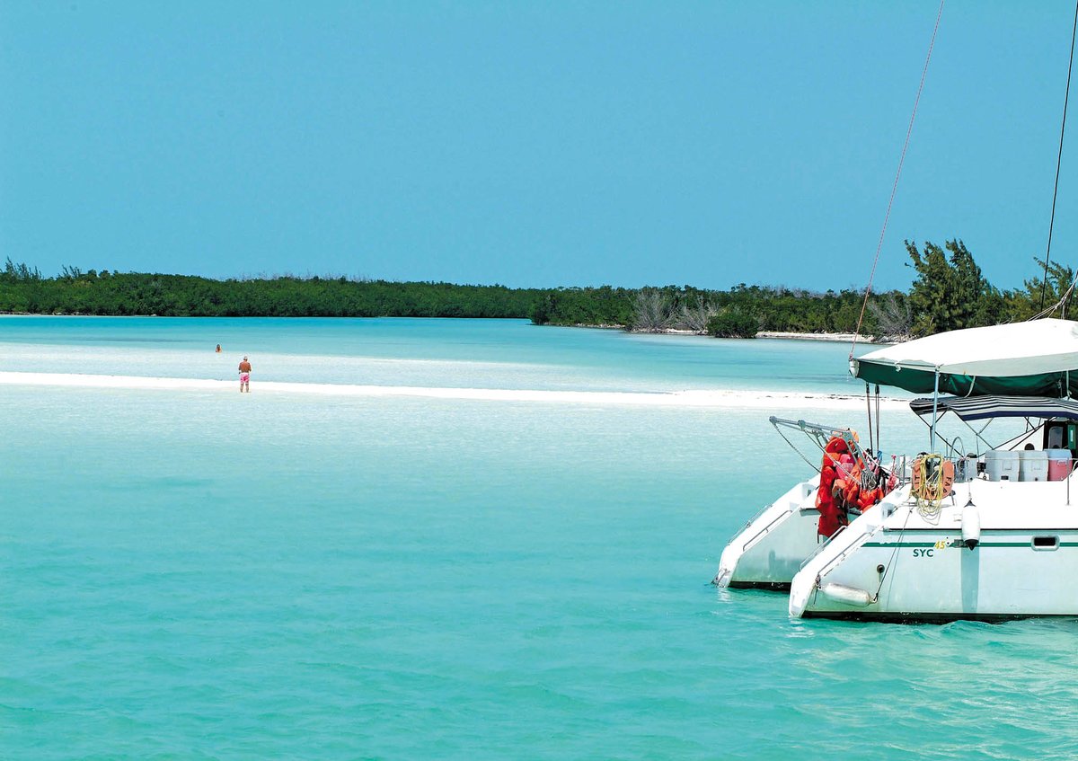 MinturCuba's tweet photo. 🌴⛱🏖️ Viajar es una de las mejores formas de vivir experiencias inolvidables. ¡Y #Cuba es un destino maravilloso para hacer precisamente eso!  #CubaUnica 🌞😎🏖⛱  #CubaTravel 👉 👉 👉https://t.co/RnPUOAdOtj https://t.co/0OsA7Rea1t https://t.co/uK2hkY0PqW https://t.co/Wunf6fo3Jy