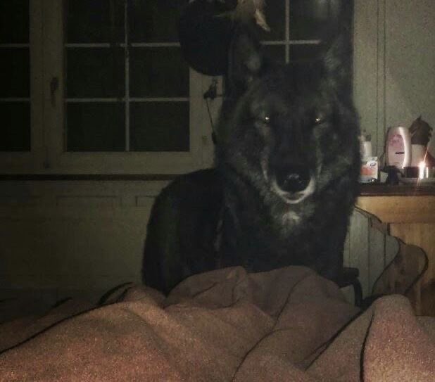 crycation's tweet image. how i watch you guys while y'all sleep