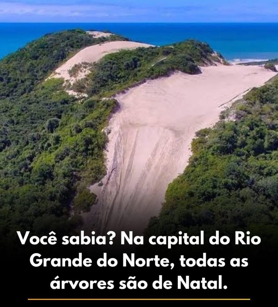 viderotulo's tweet photo. https://t.co/MFLSGMu0eq