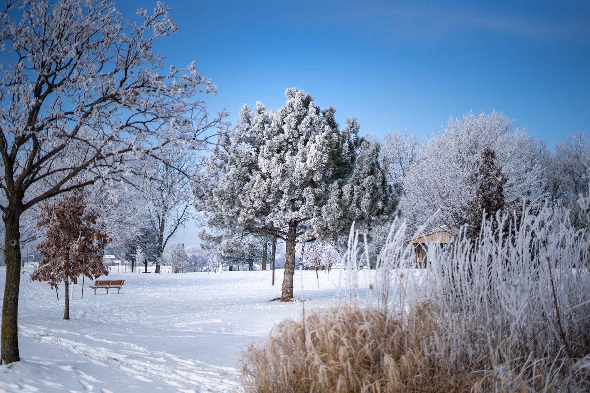 Dave Evans tweet media