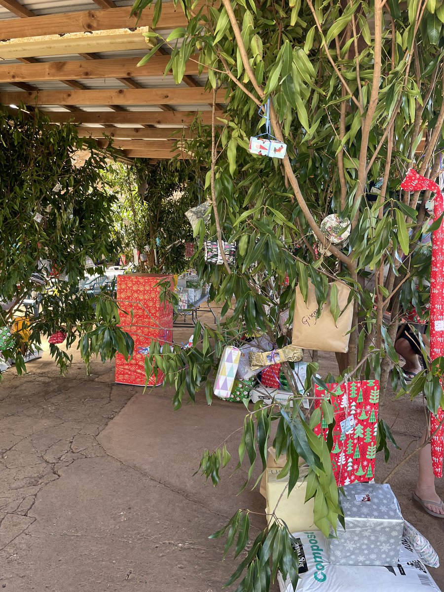 Lindsy Thompson tweet media