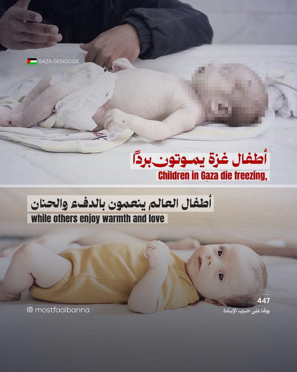 Dr_Muneer1's tweet photo. ليست خيامًا بل ثلاجات موت.. استشهدت رضيعتان خلال أسبوع واحد بسبب البرد القارس في خيام النزوح بقطاع غزة، وما زلنا في الأيام الأولى من فصل الشتاء.

These are not tents but refrigerators of death.. Two infants passed away within a single week due to the bitter cold in displacement tents in the Gaza Strip, and we are still in the early days of winter.