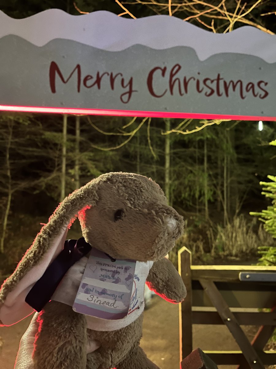 PpromAwarenessU's tweet photo. Merry Christmas, but for some of our pregnant mums, they are dealing with the unknown pregnant condition
Little Heartbeats have now helped thousands of women through this condition in pregnancy
Do take a look at our website
#PPROM #womenshealth https://t.co/UTAIZzEUIt