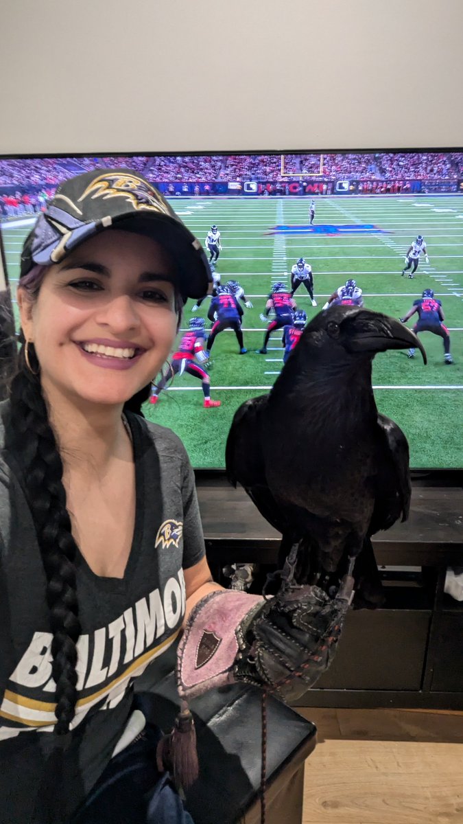 RavenSamara's tweet photo. Enjoying Christmas day watching the @ravens game with Poe 🏈 🐦‍⬛
Thanks  @netflix @netflixuk for showing the game around the world , greetings from London!! 🇬🇧

#baltimoreravens #ravensflock #ravensvstexans #NFL #NFLonNetflix https://t.co/bcgppfE7Sg