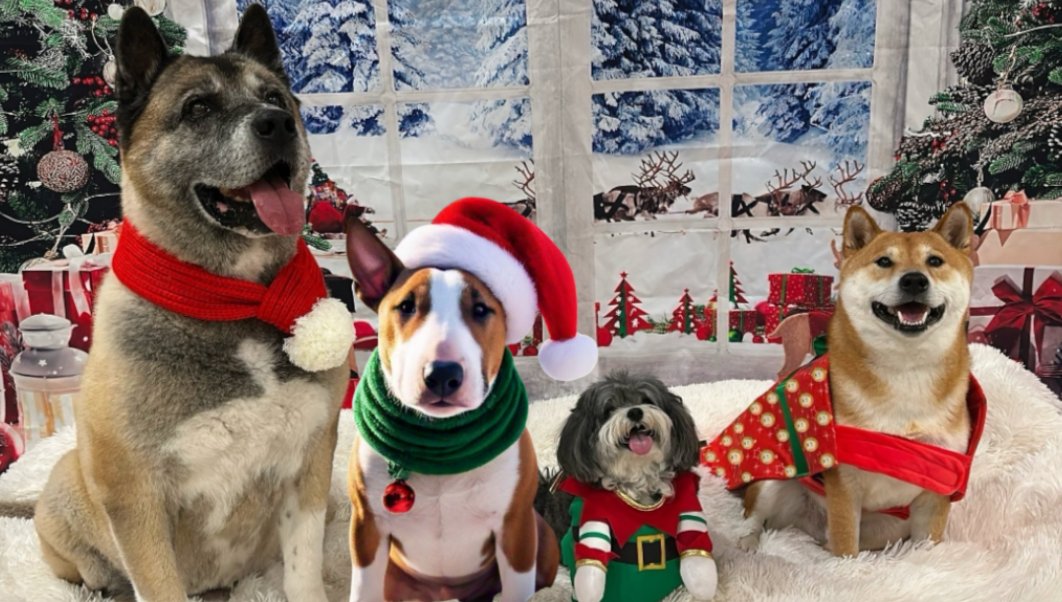 BullieBucks's tweet photo. @Como_Tanka @BullieBucks https://t.co/ZrVFrI3YB6