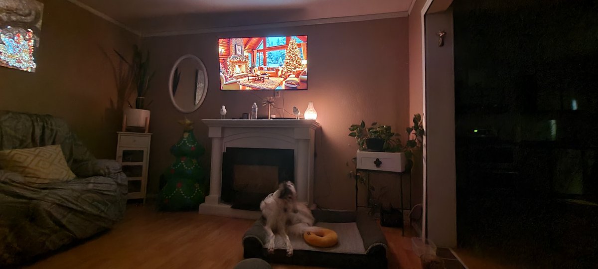 FishFRFX's tweet image. Merry Christmas everyone