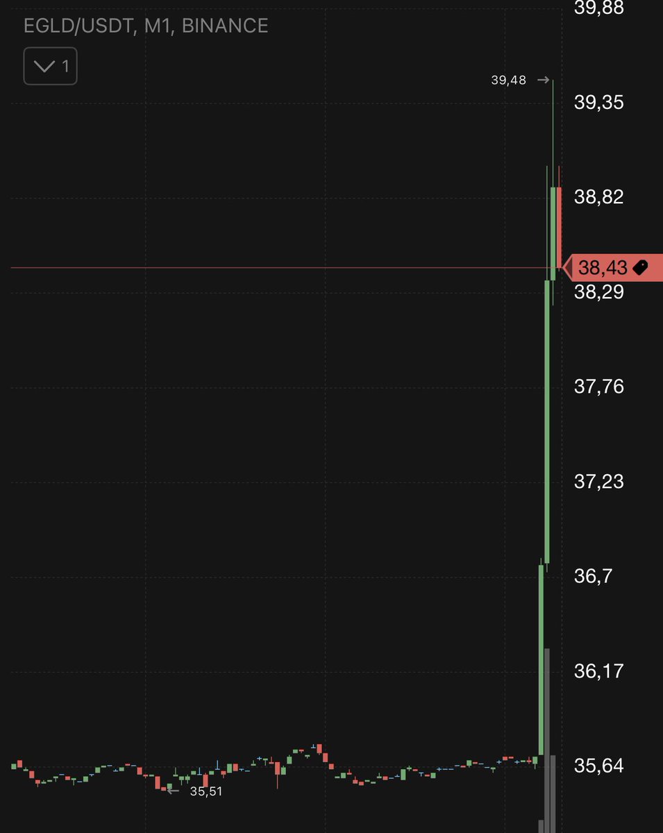 $EGLD TO 1000$ in 2025/26 tweet media