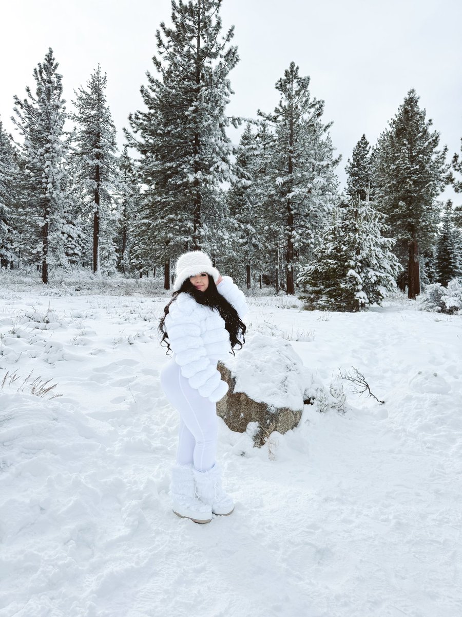 ceciliag_11's tweet photo. White Christmas https://t.co/W2OKeGEkrc