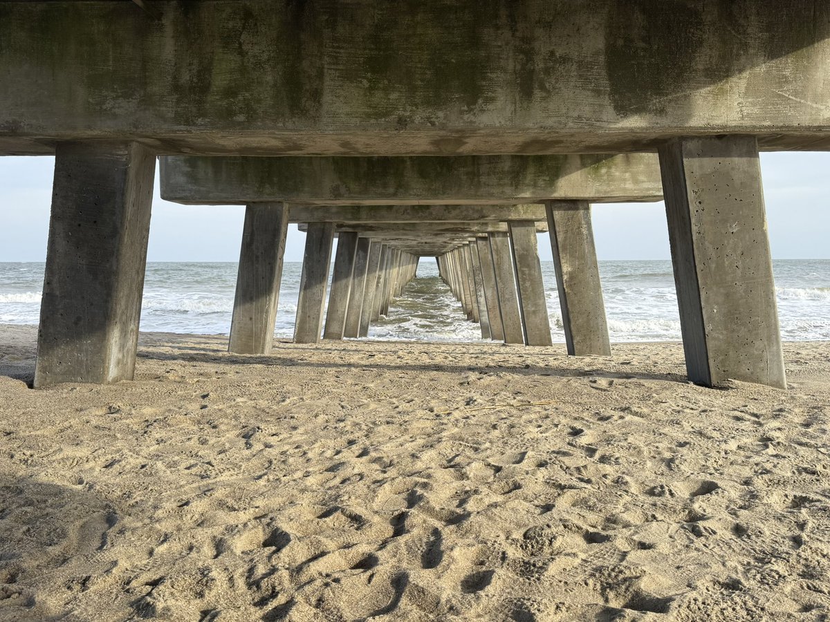 Merry Christmas from Tybee Island, GA!