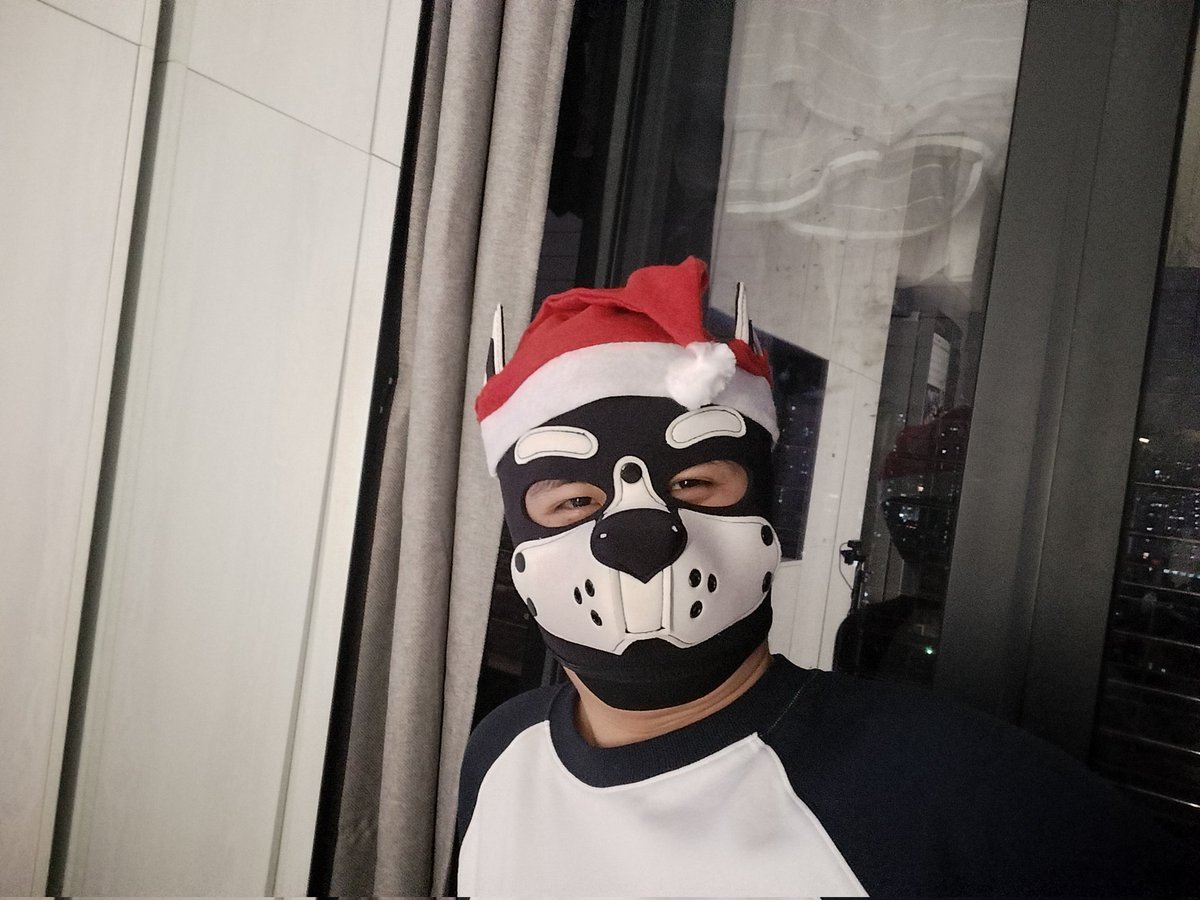 圣诞小狗🐶