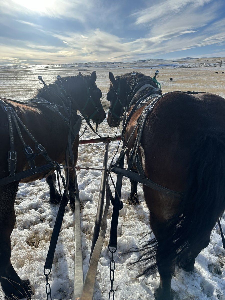 Christmas in gods country