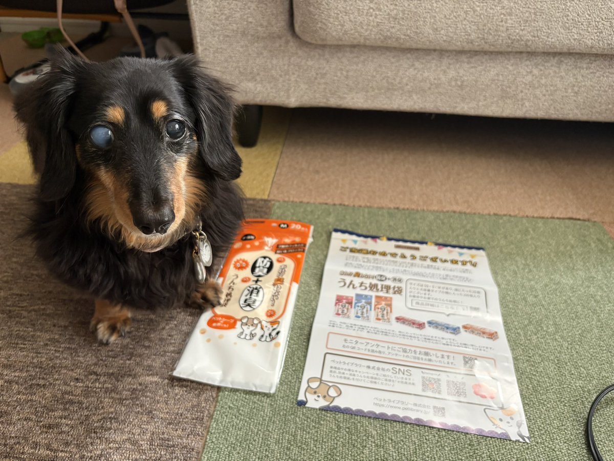 ペットライブラリー株式会社様より頂きました☺️
袋のつくりが丈夫そうで
ニオイ漏れも安心できますね！

ありがとうございます😌💕
<a href="/petlibrary_jp/">ペットライブラリー株式会社</a> 
#防臭消臭うんち処理袋
#PR