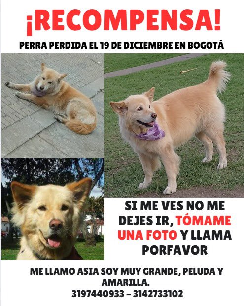 laurarubiogu's tweet photo. 🆘🆘🆘🙃 necesita antecion médica https://t.co/Y0nf9S6lsR
