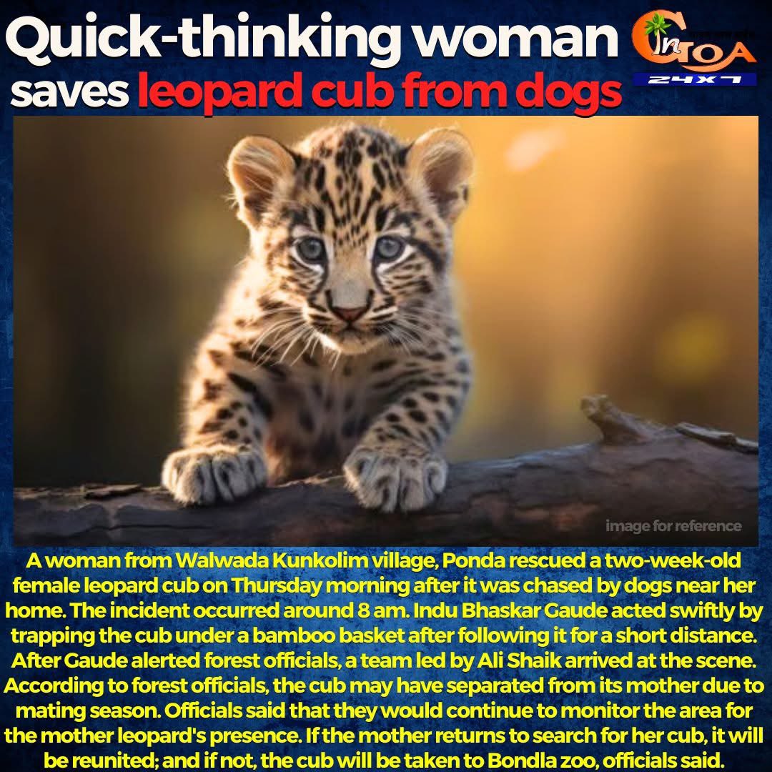 Adv Surel Tilve (@tilvesurel11) on Twitter photo फुडें किद्ये जालें?
Its been more than 20days since this cub was rescused but <a href="/goaforests/">Goa Forest Department</a> has not released any information regarding its health status. As a nature lover,I would like to know.
<a href="/visrane/">Vishwajit Rane</a> <a href="/DrPramodPSawant/">Dr. Pramod Sawant</a> <a href="/prudentgoa/">Prudent Media</a> <a href="/goanewshub/">Goa News Hub</a> <a href="/InGoa24x7/">In Goa 24x7</a> <a href="/PrimeTVGoa/">Prime Media Goa - TV Channel</a> फुडें किद्ये जालें?
Its been more than 20days since this cub was rescused but <a href="/goaforests/">Goa Forest Department</a> has not released any information regarding its health status. As a nature lover,I would like to know.
<a href="/visrane/">Vishwajit Rane</a> <a href="/DrPramodPSawant/">Dr. Pramod Sawant</a> <a href="/prudentgoa/">Prudent Media</a> <a href="/goanewshub/">Goa News Hub</a> <a href="/InGoa24x7/">In Goa 24x7</a> <a href="/PrimeTVGoa/">Prime Media Goa - TV Channel</a>
