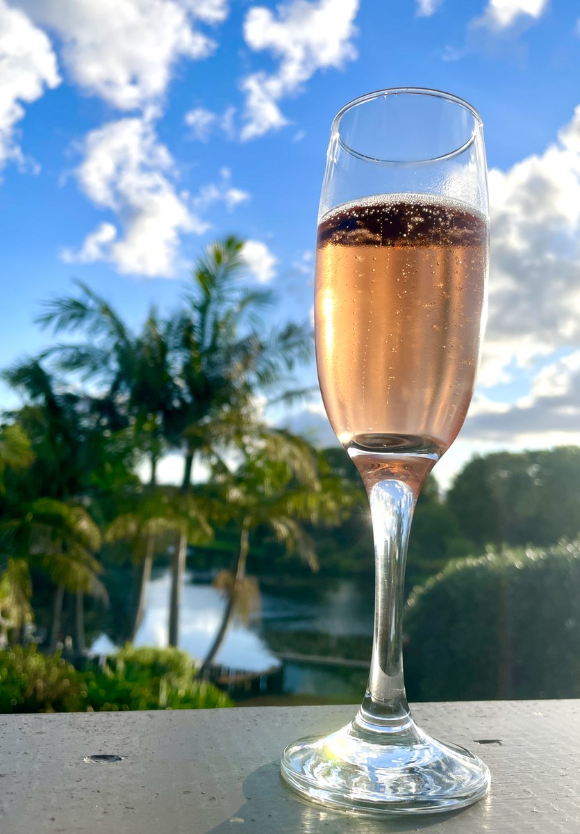 Happy Christmas from NZ 🌴🌿