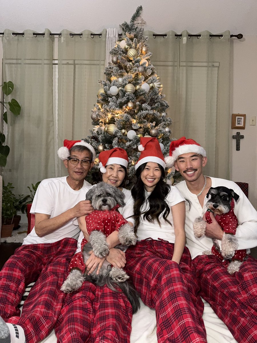 TheAriLee's tweet photo. The happiest season of all 🎄 Merry Christmas, ya filthy animals 🫶🏻 https://t.co/BNF2rwAn3j