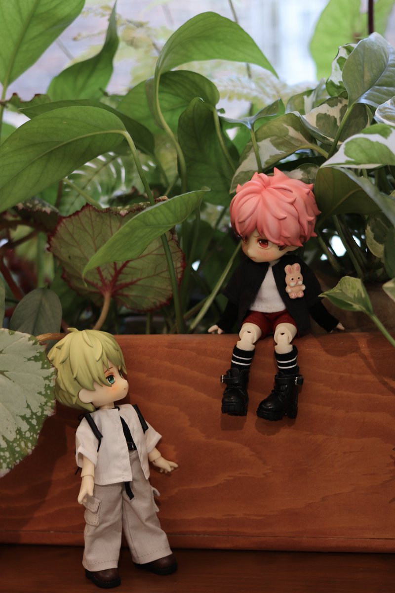 왜이제와?

#멍틀리에 #frank메리미