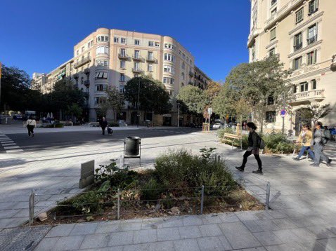 Remember, when Barcelona eliminated 3 lanes of vehicle traffic &amp; converted this street into a 4.7km green pedestrian corridor in the heart of the Eixample grid, businesses sued. They actually won. But by then businesses had decided they actually like it.
citylabbcn.org/the-legal-atta…