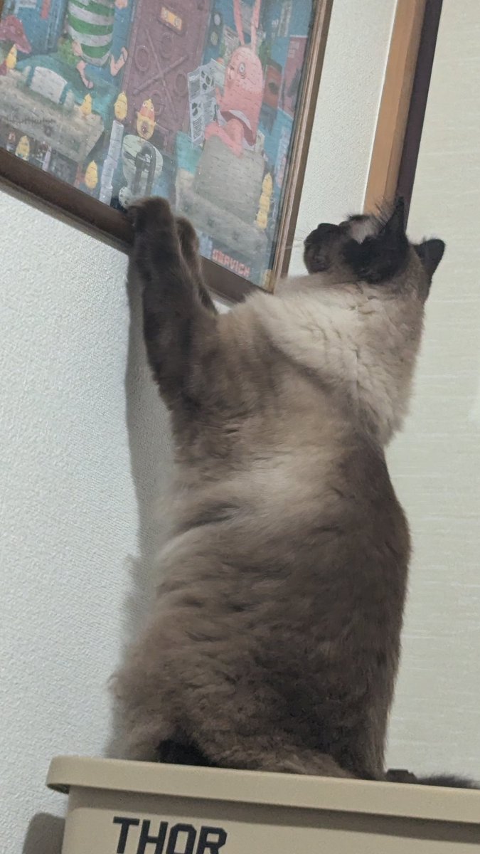 ウサビッチめっちゃ見てます😆