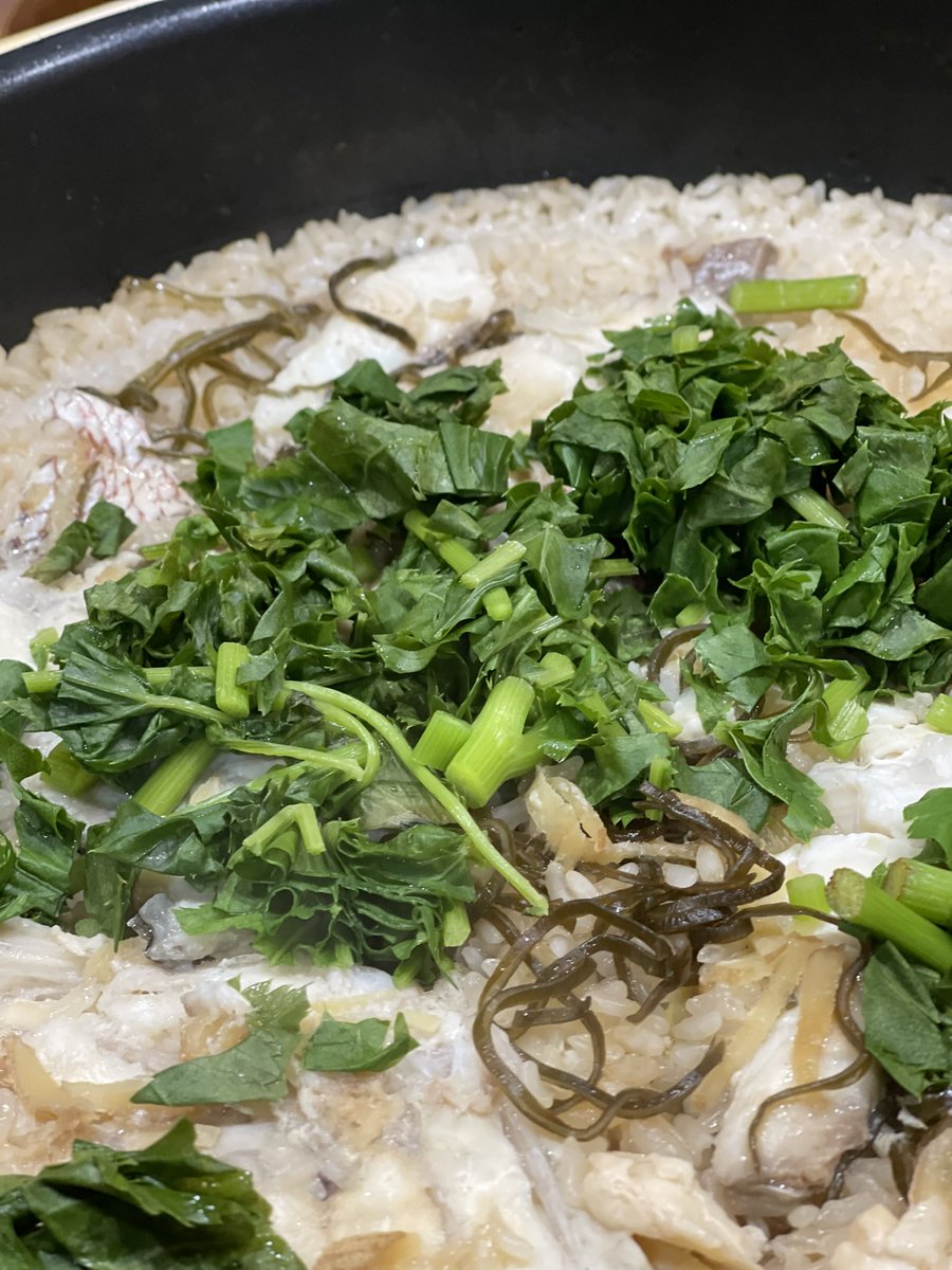 海千山千るりま ＼ バエパッチョ提唱者 ／ tweet media