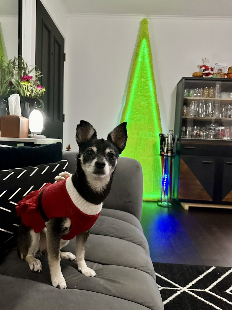 I made a Grinchmas tree that ended up looking very brat