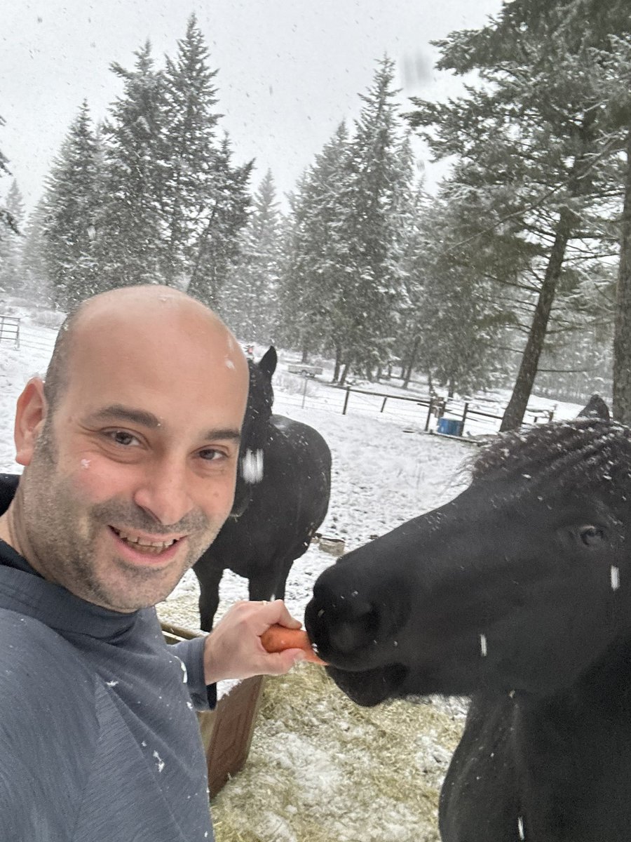 Frank Caputo tweet media