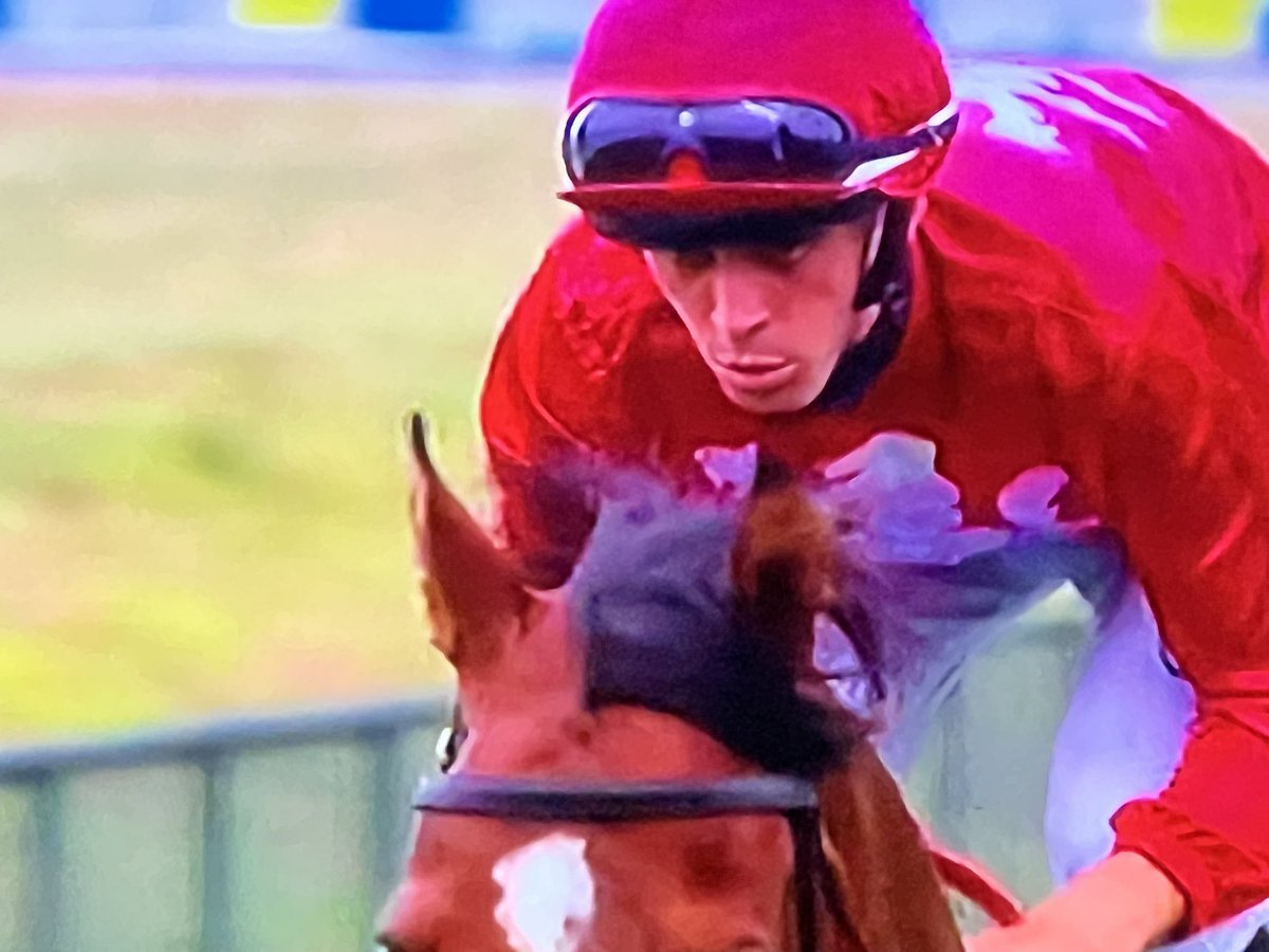 Rosemont Stud tweet media