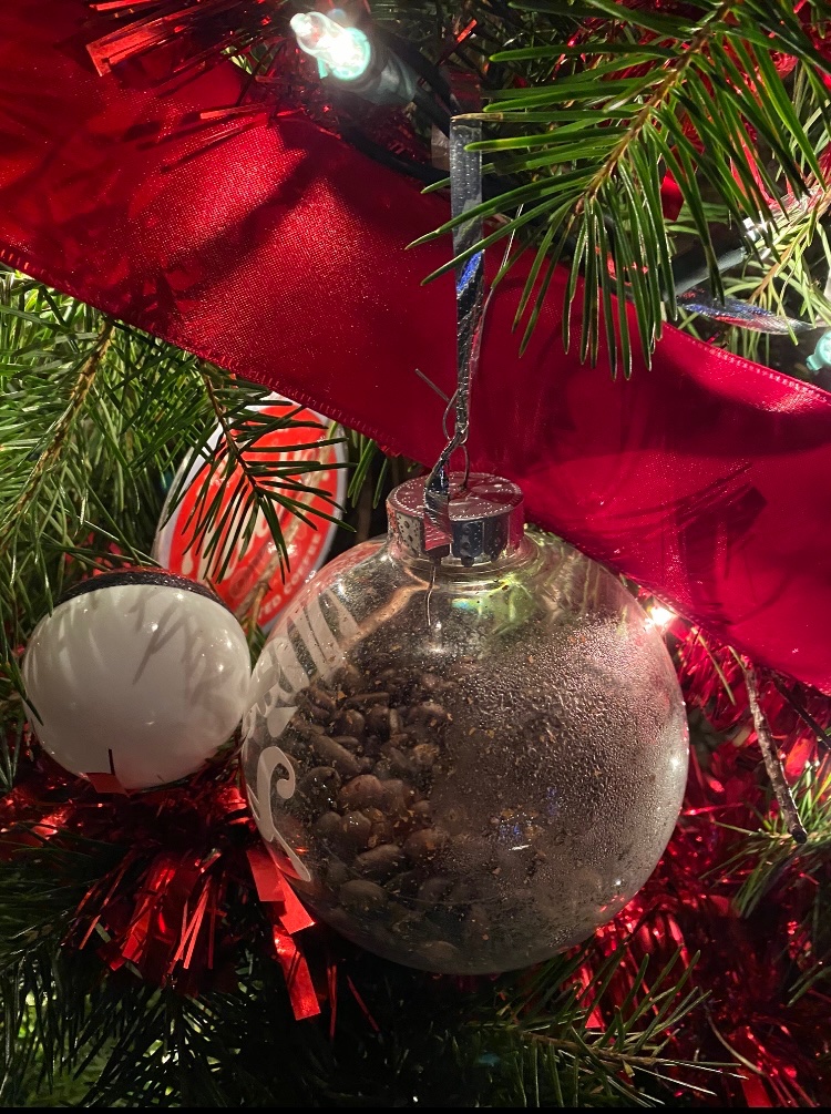 For those who celebrate, wishing you a Beautiful Christmas and an Awesome 2025! #Merrychristmas #Joy #Voiceactor #Voiceover #Voiceacting