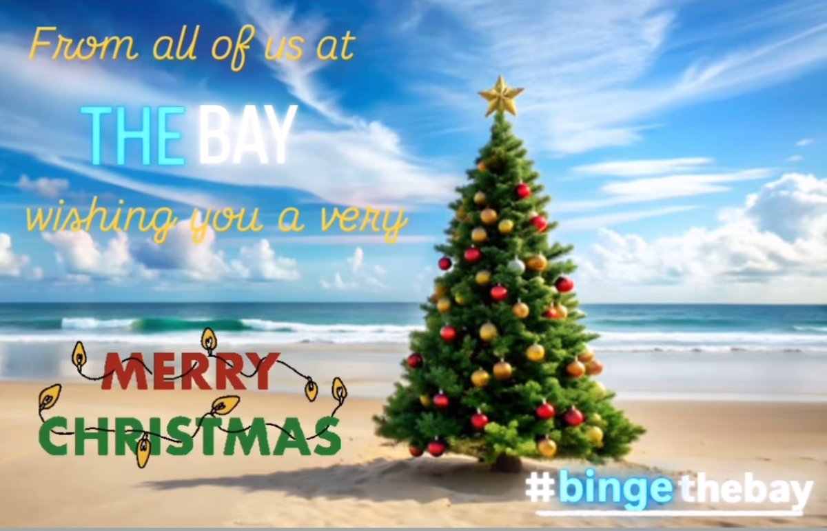TheBaytheSeries's tweet photo. Happy Holidays! 🎄🕎❤️ #TheBayFamily #bingethebay https://t.co/Y5SipKAWw5
